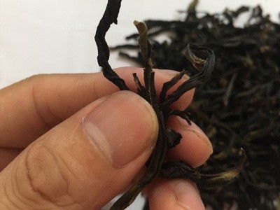 [高性比]潮州凤凰鸭屎香茶叶大乌叶白叶单丛茶蜜兰香 黄枝香批发图2