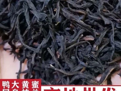[高性比]潮州凤凰鸭屎香茶叶大乌叶白叶单丛茶蜜兰香 黄枝香批发图1