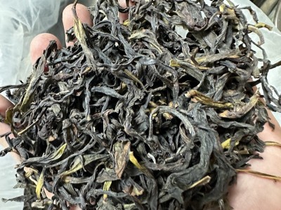 潮州凤凰单枞雪片蜜兰香乌岽单丛乌龙茶叶送礼盒罐装特产批发散装图2