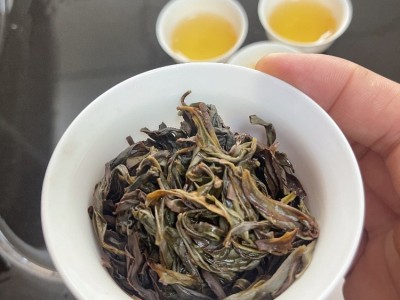 潮州凤凰单枞高山老枞蜜兰香乌岽单丛乌龙茶叶礼盒装特产散装批发图2