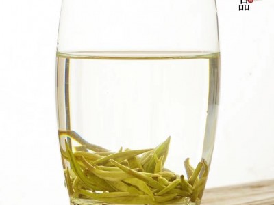 九窨茉莉玉螺王新茶茉莉花茶浓香型耐泡特香广西花茶厂家直销图5