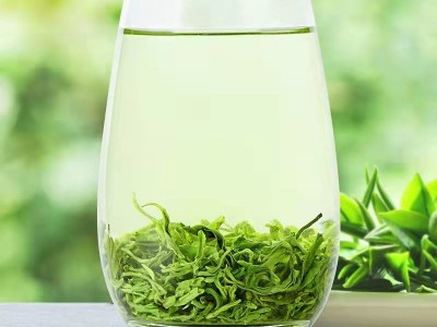 四川碧螺春新茶叶高山绿茶叶明前浓香型耐泡绿茶礼盒批发500g图4