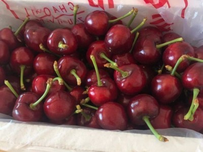 颐正源_大樱桃 新鲜当季水果 现摘现发 现货直达图2