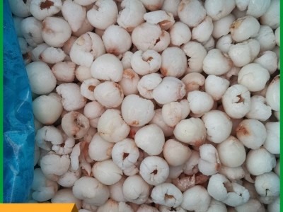 批发速冻荔枝肉 鲜果无核荔枝冷冻果肉 益祥食品图3