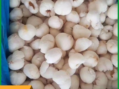 批发速冻荔枝肉 鲜果无核荔枝冷冻果肉 益祥食品图5