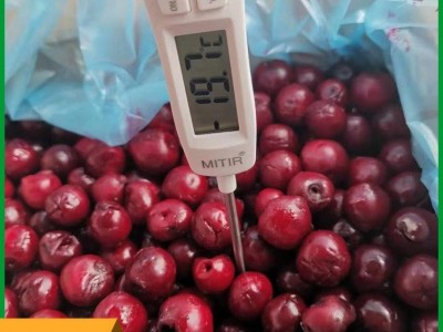 冷藏果蔬食品 波兰冷冻酸樱桃 去核冻速冻樱桃 批发图2