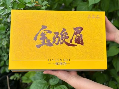 新款茶礼金骏眉武夷红茶新茶茶叶礼盒装250克一件代发图4