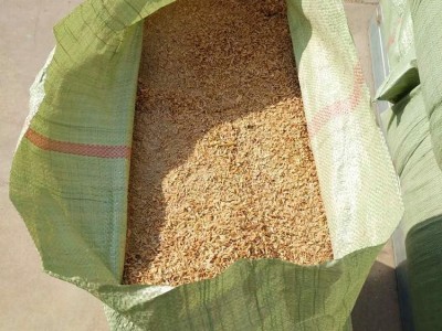 大棚种植 改善土壤稻壳 是种植良好的植物养料 明亮图5