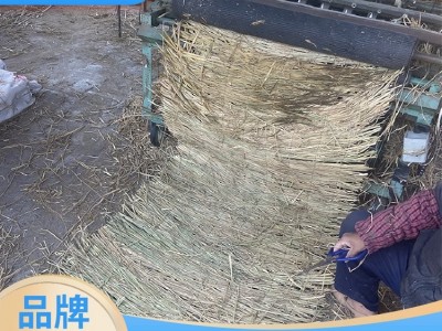 路面养护用 草帘制造 保暖遮阳防寒 多规格可选 旭日草制品图5