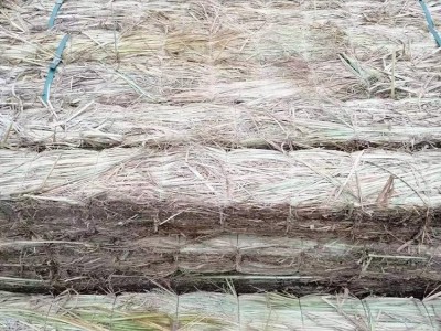 草支垫 稻草制品 条形 防滑 耐磨 稻草铺设均匀 旭日草制品图5