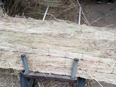 草支垫 稻草制品 条形 防滑 耐磨 稻草铺设均匀 旭日草制品图4