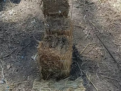 铁路运输用稻草掩挡 草墩 无污染 建学草编 原色图5