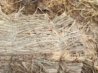 铁路运输用稻草掩挡 草墩 无污染 建学草编 原色图4