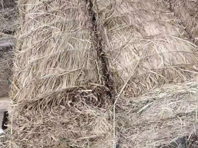 建学草编 草支垫 草垫 稻草制品 条形 防滑 耐磨 稻草铺设均匀JX-733图2