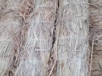 建学草编 草支垫 草垫 稻草制品 条形 防滑 耐磨 稻草铺设均匀JX-733图3
