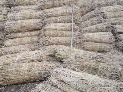 防滑防汛草帘子 绿化种植 博善 棚保温草苫子 工程防汛图3