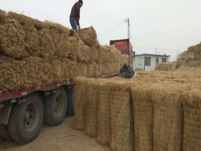 世纪缘稻草帘子 防寒绿化草帘 隔热保暖草苫子图4