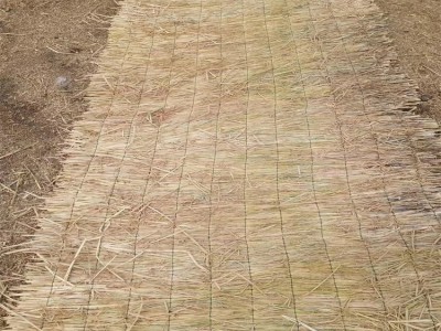 世纪缘稻草帘子 防寒绿化草帘 隔热保暖草苫子图1