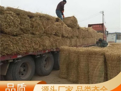 防寒 来图定制 草帘 加厚耐高压 稻夫草编制品厂图4