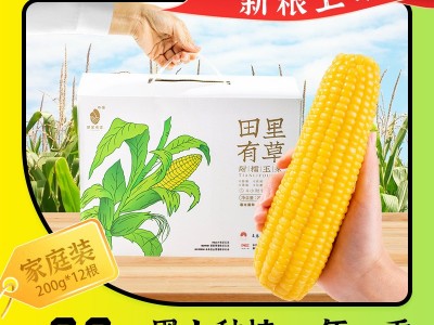 田里有草玉米厂家甜糯玉米批发即食玉米真空玉米招代理一件代发图1
