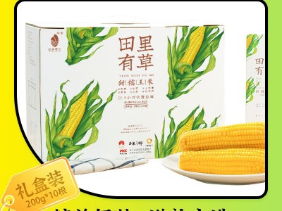 田里有草玉米礼盒装甜糯玉米产地批发即食真空玉米招代理一件代发图2