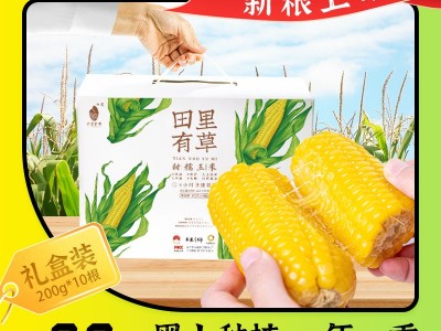 田里有草玉米礼盒装甜糯玉米产地批发即食真空玉米招代理一件代发图1