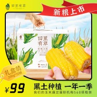 田里有草玉米礼盒装甜糯玉米产地批发即食真空玉米招代理一件代发