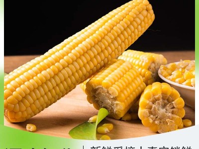 山西杂粮之都 BALLON REAR贝朗熊 新鲜黄糯玉米穗真空包装220g图3
