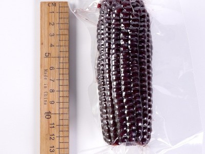 10棒东北黑糯玉米 新鲜现摘黏紫甜玉米棒可代发真空包装 黑玉米图4
