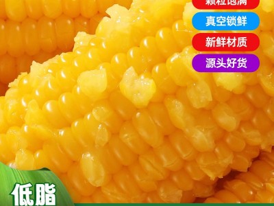 东北黄玉米棒整箱8根220克粗粮香甜软糯真空独立包装电商代发玉米图3
