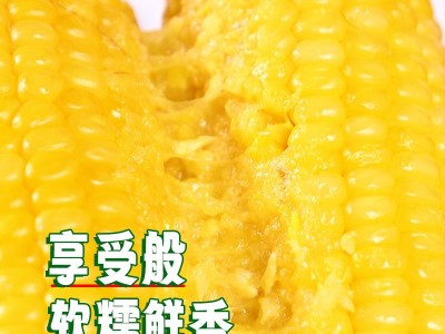 东北黄玉米棒整箱8根220克粗粮香甜软糯真空独立包装电商代发玉米图2