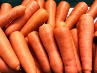 净菜出口 出口净菜 大姜出口 大葱出口图1