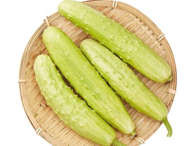 批发海阳白玉黄瓜新鲜现摘蔬菜脆嫩水果黄瓜生吃小黄瓜蔬菜批发代图5