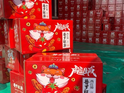 批发海阳普罗旺斯西红柿新鲜现货沙瓤西红柿放心蔬菜番茄图2