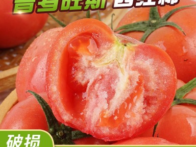 海阳普罗旺斯西红柿整箱新鲜沙瓤番茄现摘现发可生吃西红柿图1