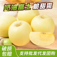 烟台苹果黄金奶油富士5斤装脆甜苹果一件代发新鲜水果批犮发