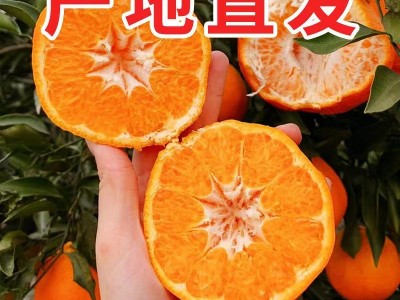 凉慕四川耙耙柑春见应季新鲜水果柑橘甜柑不知火丑八怪柑橘子整箱图2