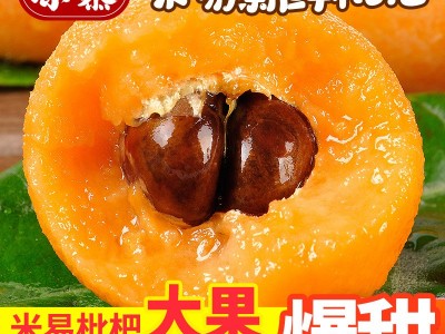 凉慕四川清甜米易枇杷新鲜应季时令水果批发枇杷孕妇水果甜糯枇杷图3