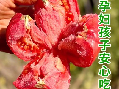 凉慕攀枝花普罗旺斯番茄自然熟西红柿露天新鲜洋柿子薄皮水果蔬菜图4