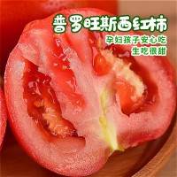 凉慕攀枝花普罗旺斯番茄自然熟西红柿露天新鲜洋柿子薄皮水果蔬菜