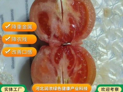 绿绚风西红柿 追施有机水肥 改善口感 降重金属农残 快速发货图2