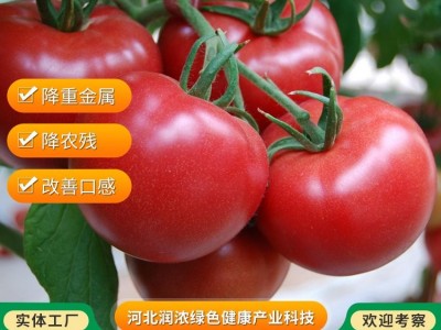 绿绚风西红柿 追施有机水肥 改善口感 降重金属农残 快速发货图4