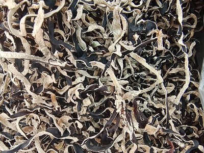 木耳丝螺蛳粉专用白背黑木耳丝食用农产品简装黑木耳菌菇干货图5