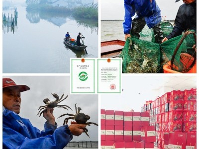 大闸蟹鲜活螃蟹礼盒礼券蟹卡提货卡阳澄湖镇8只公蟹4.0样卡未激活图2