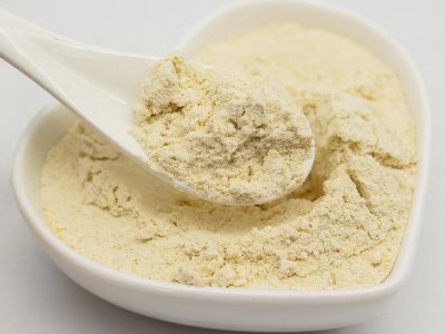 蒜头粉640g大蒜粉食用蒜香粉调料腌制蒜蓉粉烧烤家用炒菜图2