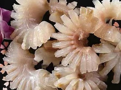 牛鞭花2斤商用免处理牛宝新鲜冷冻重庆锅牛杂新鲜麻辣烫酒店特色图2