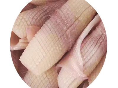 5斤新鲜大鱿鱼花冷冻鱿鱼卷生冻鲜墨鱼花目鱼筒商用海鲜水发鱿鱼图5