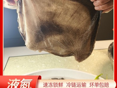 液氮锁鲜毛肚新鲜冻毛肚牛百叶牛肚牛杂重庆火锅食材厂家批发图2