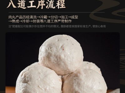 正宗手打猪肉丸潮汕特产 原味猪肉丸500克 速冻食品火锅丸子批发图2
