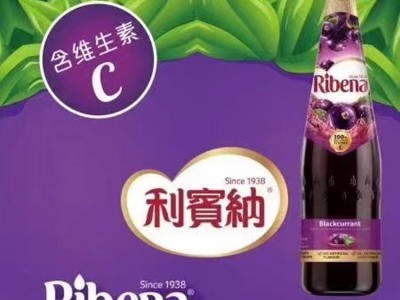 利宾纳黑加仑子汁1L*6瓶整箱原装进口果汁饮料浓缩葡萄汁商用饮品图3